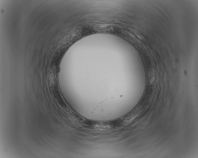 X0000061720515200512231412