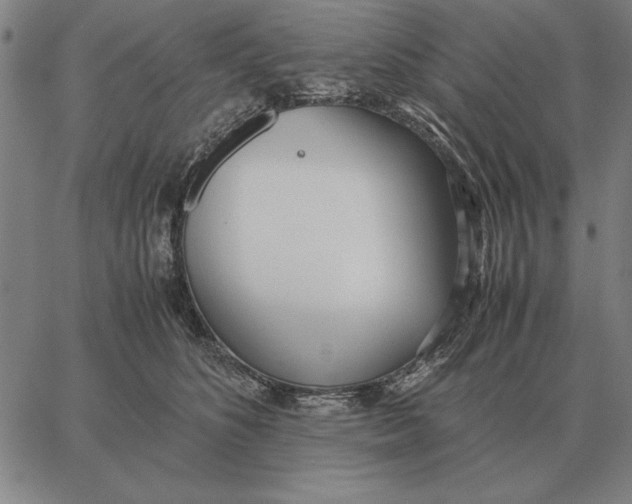 X0000061720516200512231412