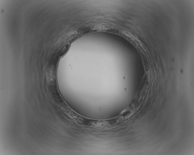 X0000061720517200512231412