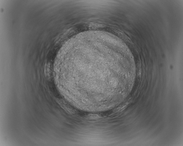 X0000061720519200512231412