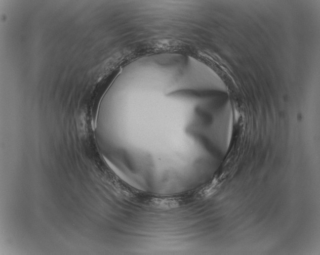 X0000061720520200512231412