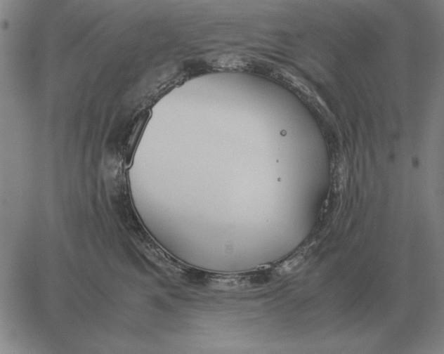 X0000061720521200512231412