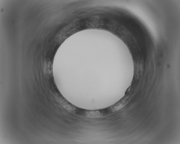 X0000061720525200512231412