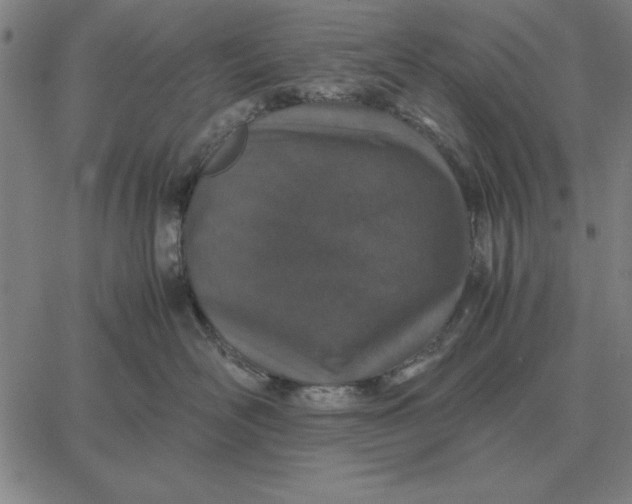 X0000061720526200512231411