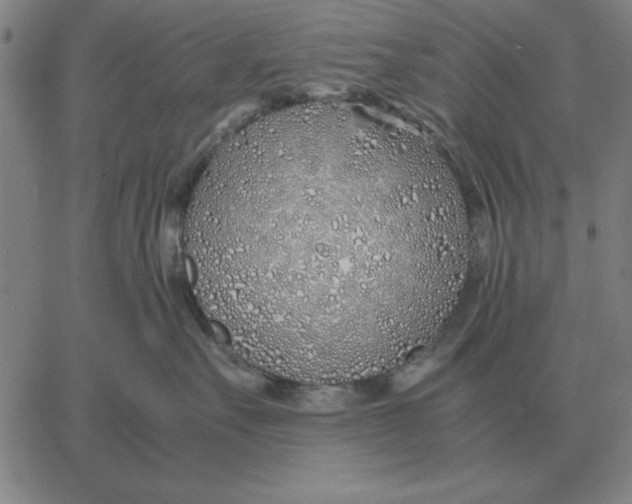 X0000061720527200512231411