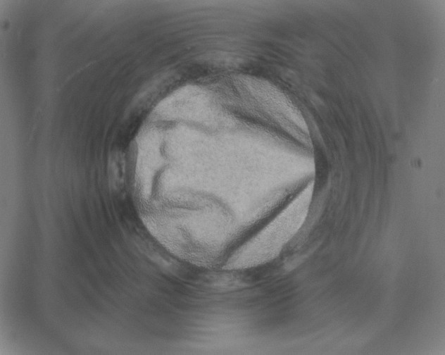 X0000061720528200512231411