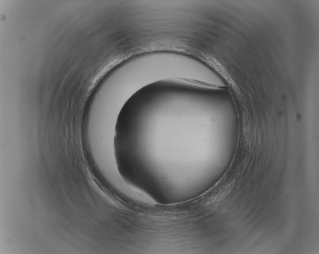 X0000061720530200512231411