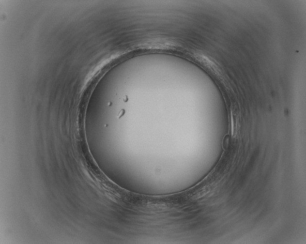 X0000061720531200512231411