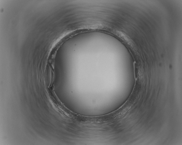 X0000061720532200512231411