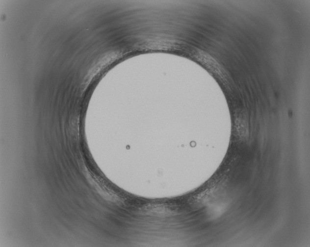 X0000061720534200512231411