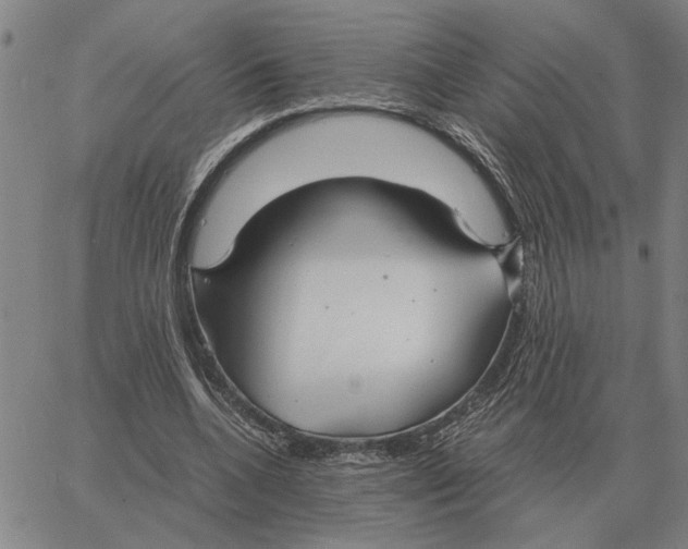 X0000061720536200512231411