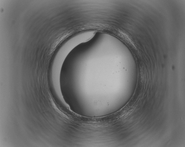 X0000061720538200512231411