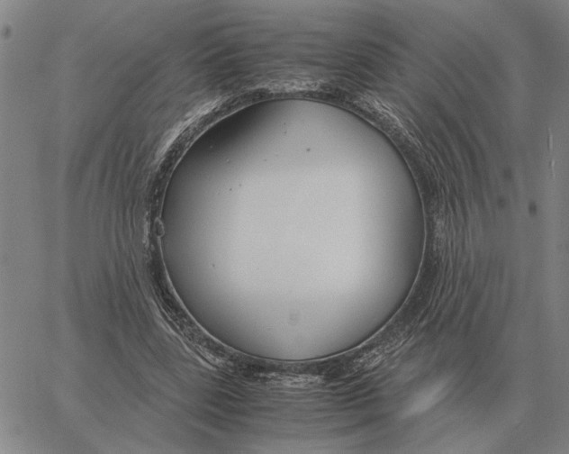 X0000061720539200512231411