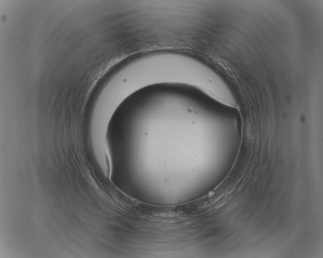 X0000061720540200512231411