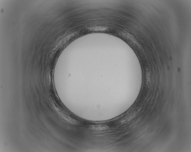 X0000061720541200512231411