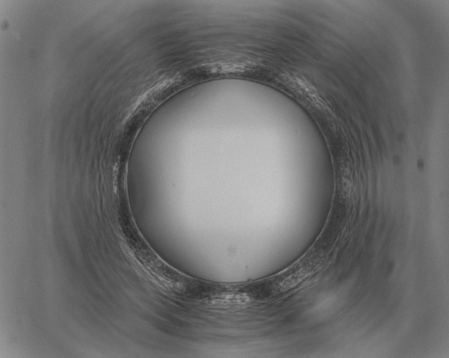 X0000061720543200512231411