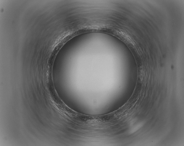 X0000061720544200512231411