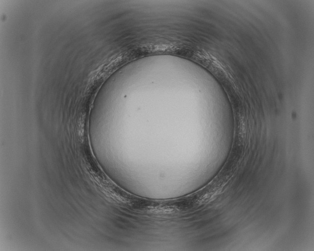 X0000061720545200512231411