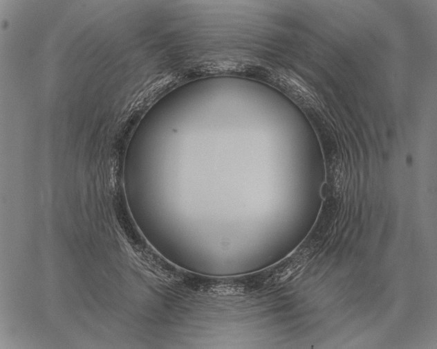 X0000061720546200512231411