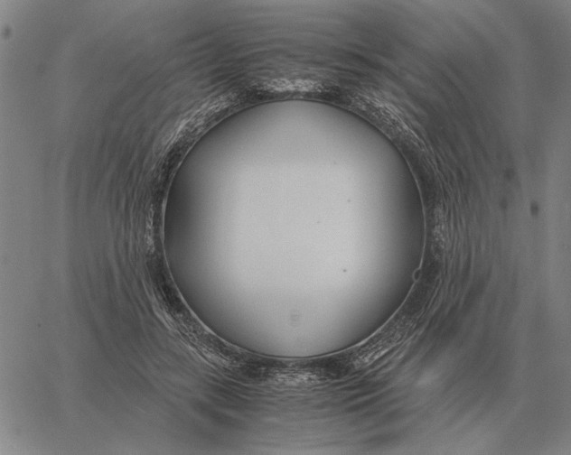 X0000061720547200512231411