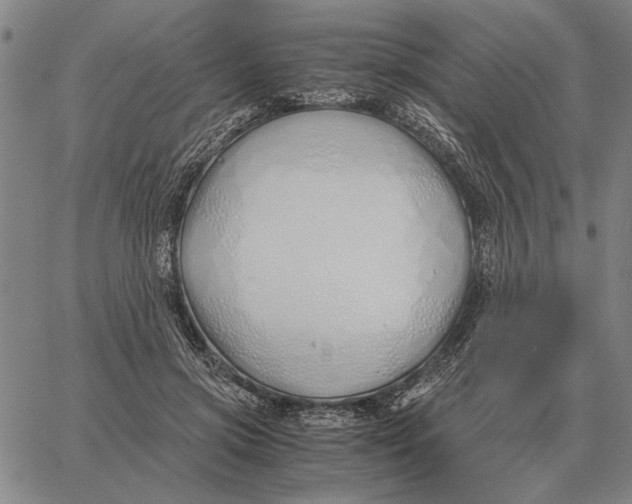 X0000061720549200512231411