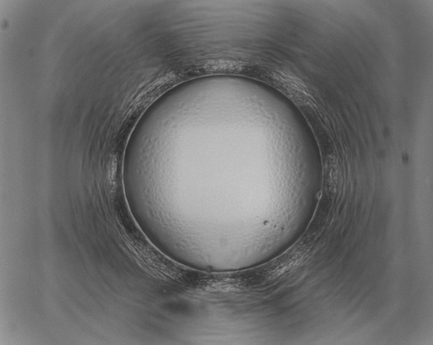 X0000061720550200512231411