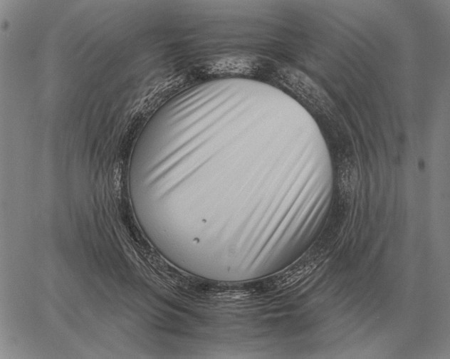 X0000061720551200512231411