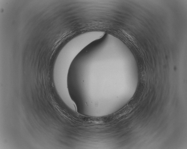 X0000061720552200512231411