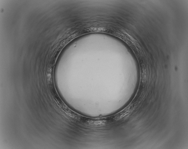 X0000061720553200512231411