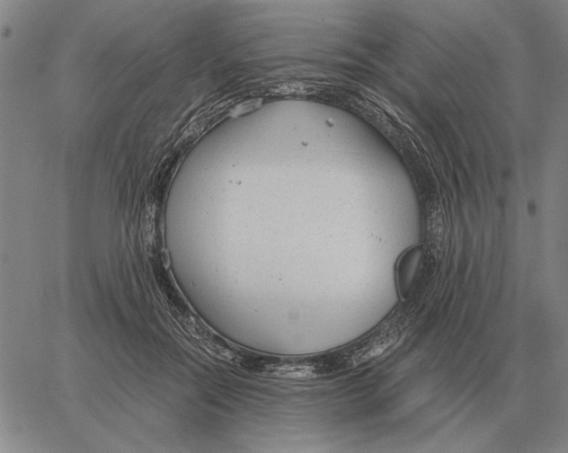 X0000061720554200512231411