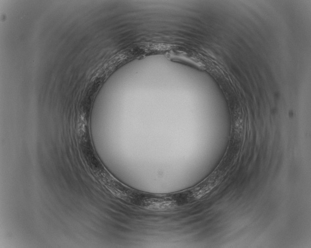 X0000061720555200512231411