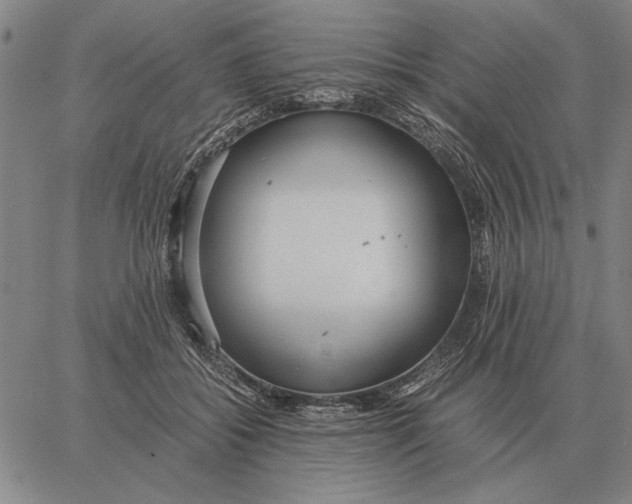 X0000061720556200512231411