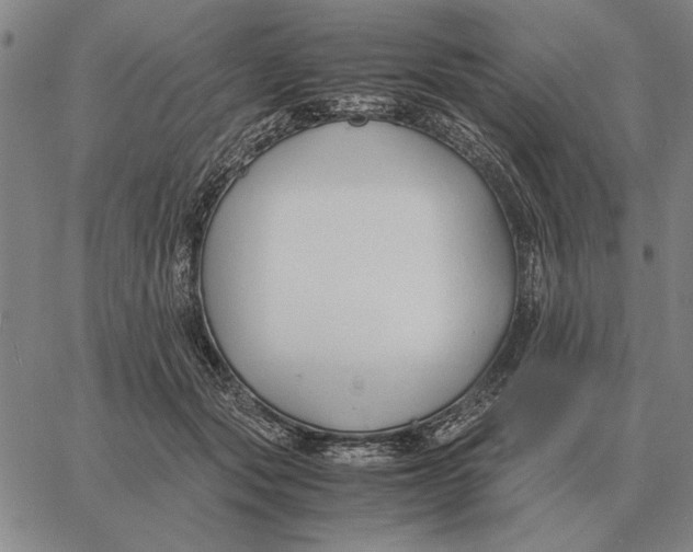 X0000061720557200512231411