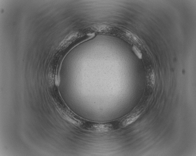 X0000061720558200512231411