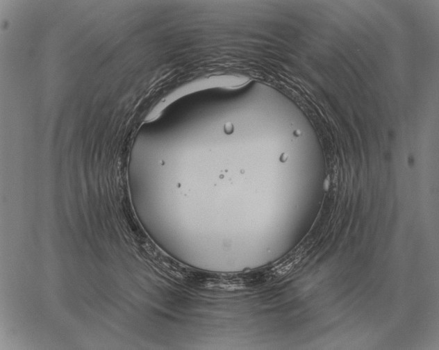 X0000061720559200512231411