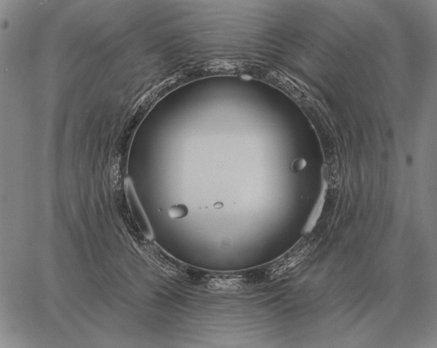 X0000061720560200512231411