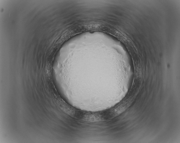 X0000061720561200512231411