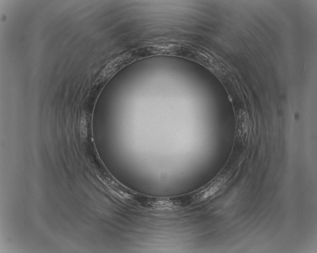 X0000061720562200512231411