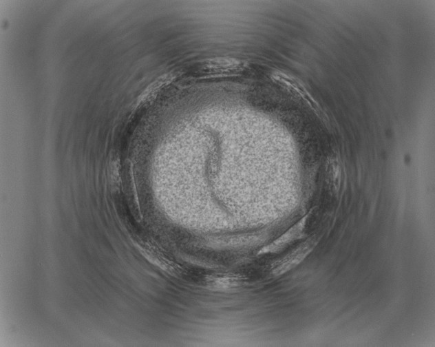 X0000061720564200512231411