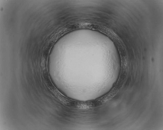 X0000061720565200512231411