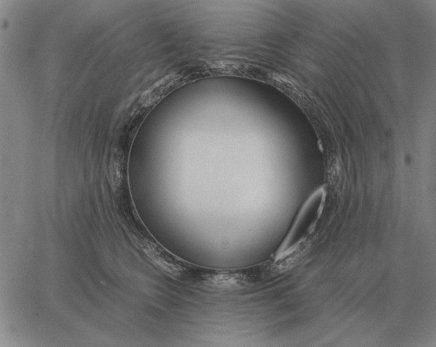 X0000061720566200512231411