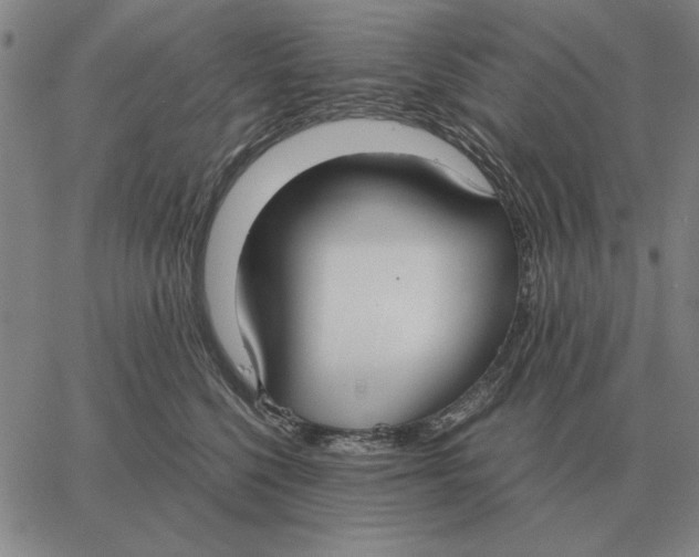 X0000061720568200512231411