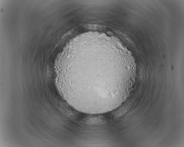 X0000061720569200512231411