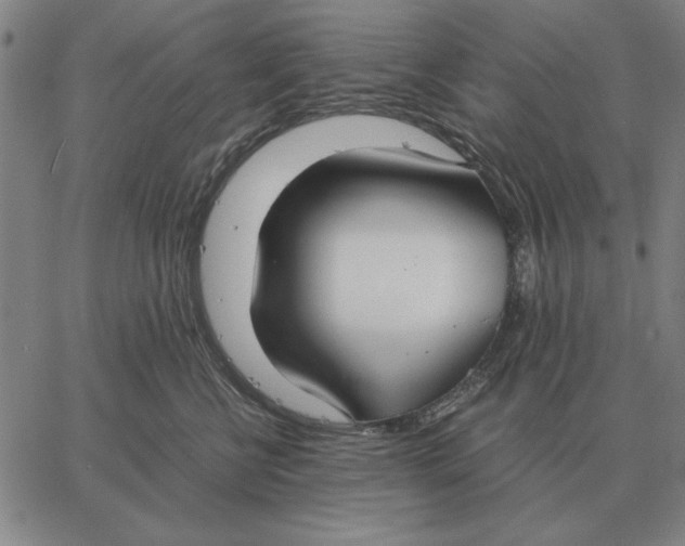 X0000061720570200512231411