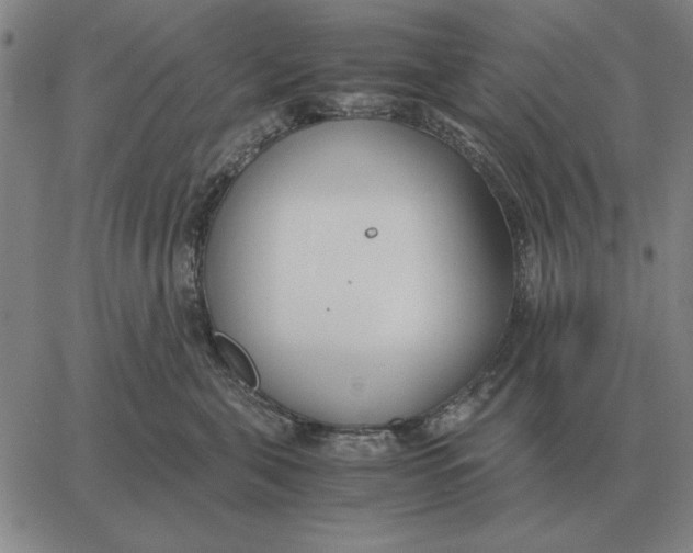 X0000061720571200512231411