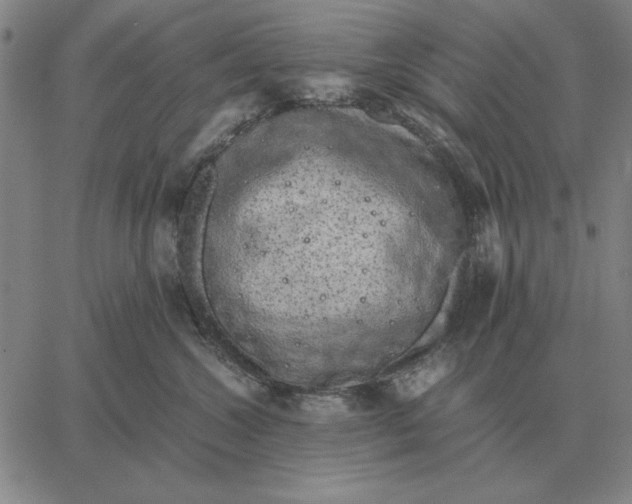 X0000061720572200512231411