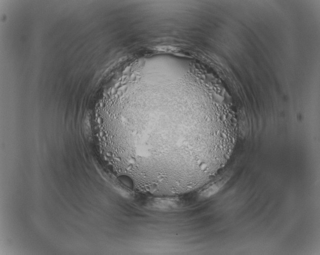 X0000061720573200512231411