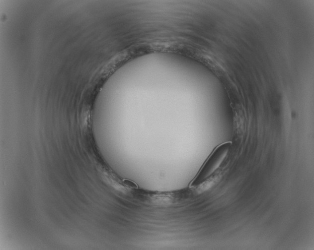 X0000061720574200512231411