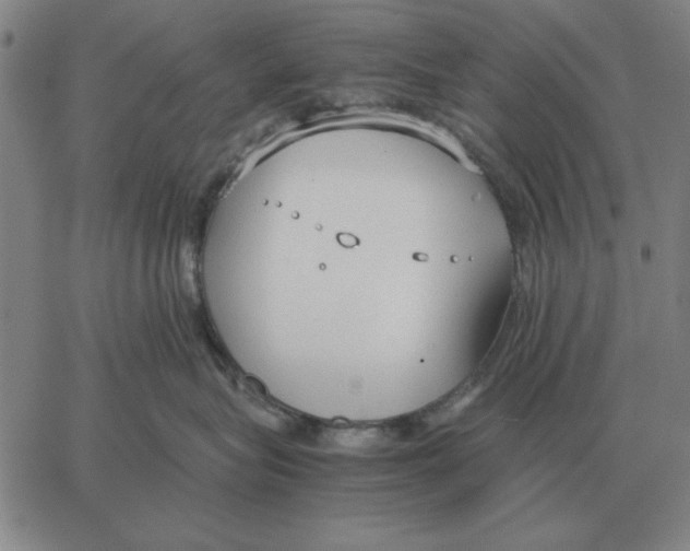 X0000061720575200512231411