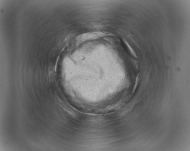 X0000061720576200512231411